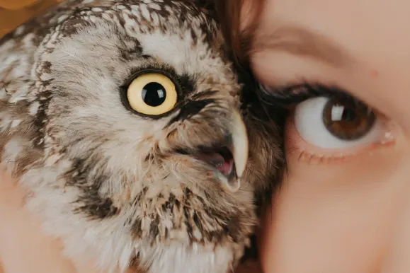 Casino AllStar Slots Tacaíocht